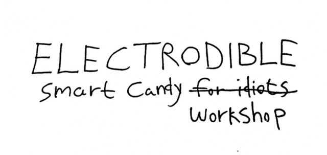 Electrodible workshop.jpg