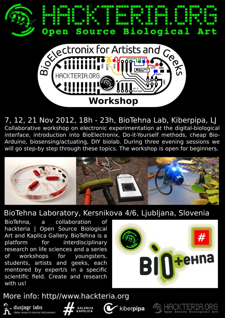 Flyer_BioElectronix_LJ2012_web