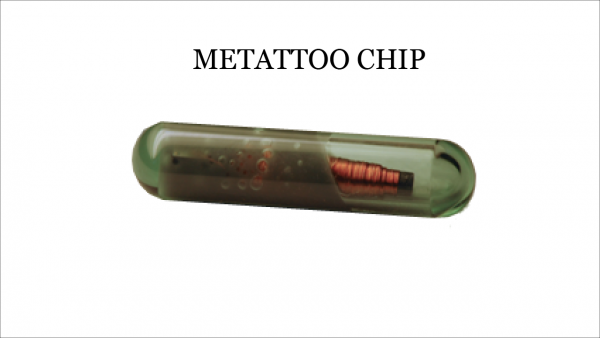 Metattoo.png