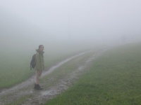Pei in the fog.JPG