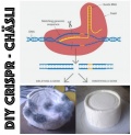 DIY CRISPR Kits.jpg