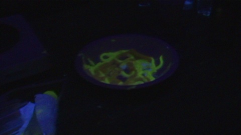11 2 Glowworm 2.jpg