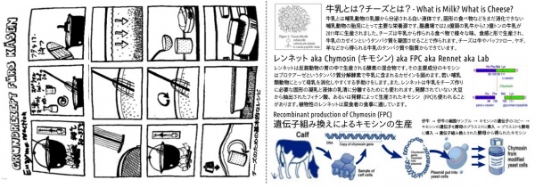 Cheese CRISPR booklet jap page3 4.jpg