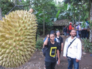 Durian.JPG