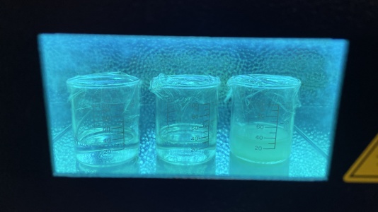 Silver nitrate solution with guava extraction during UV.jpeg