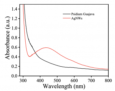UV-Vis spectra of P. Guajava extract and Ag-NWs.png