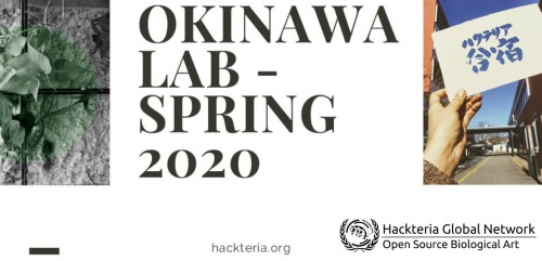 Okiwanda Lab Banner2.jpg