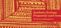 Brochures by the (Art)Science BLR