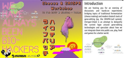 Cheese and CRISPR Workshop @ BioClub, Shibuya, Tokyo