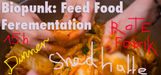 BioPunk: Feed Food Fermentation | 31. March, Shedhalle Zurich