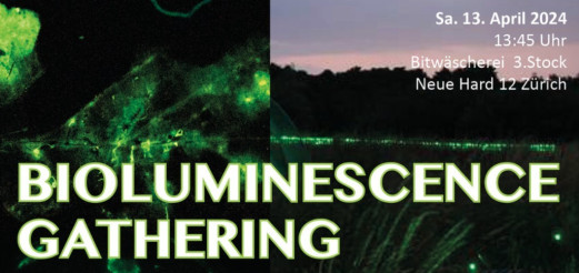 Bioluminescence gathering @ Bitwäscherei, Zürich